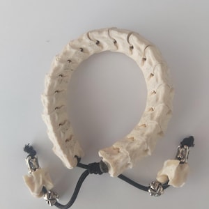 Bracelet Spine of snake. Spine of snake.