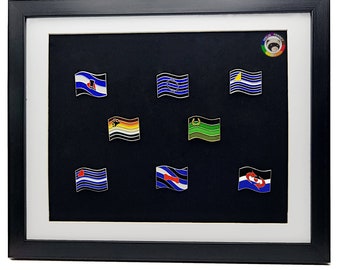 Kink and Fetish Flag Enamel Pins | Choose Your Flag | Kink and Fetish