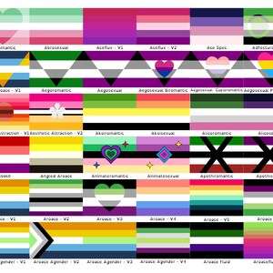 Choose Your Aroace Pride Flags | Single or Double-sided | 2 Sizes