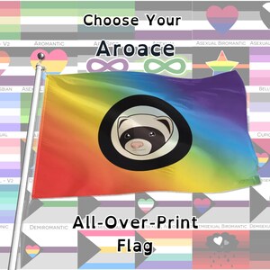 Choose Your Aroace Pride Wall Flags | All-Over-Print | 5 Sizes | LGBTQIA2S+