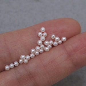 2mm-16mm Natural White Mother Of Pearl Shell Beads Round Loose Beads  Long-lasting Color Pearl Beads For Jewelry Making Bracelets Necklaces  Earrings Cr