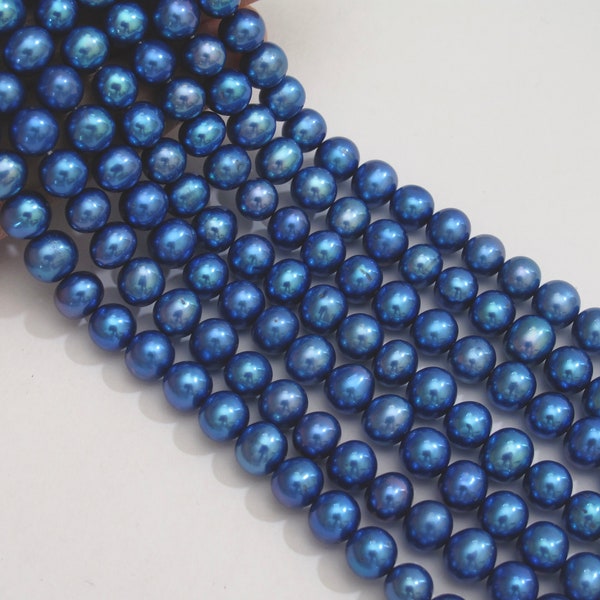 Perles de perles d’eau douce de pomme de terre bleu royal de 7 à 7,5 mm de haut lustre, perles d’eau douce authentiques, perles d’eau douce bleues de culture brillantes (925-FP)