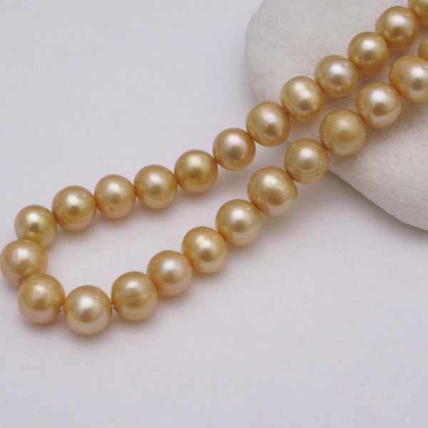 Champagne Pearl - Etsy