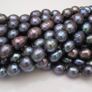 10-11x12-13mm Hochglanz Peacock Unregelmäßige Bering Reis / Oval / Teardrop Perlen, echte kultivierte Pfauenfarbene Süßwasserperlen (941A-FP)