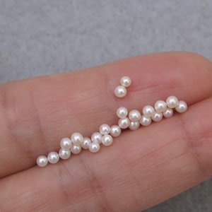 May include: A collection of small, white, round pearls, scattered on a hand.