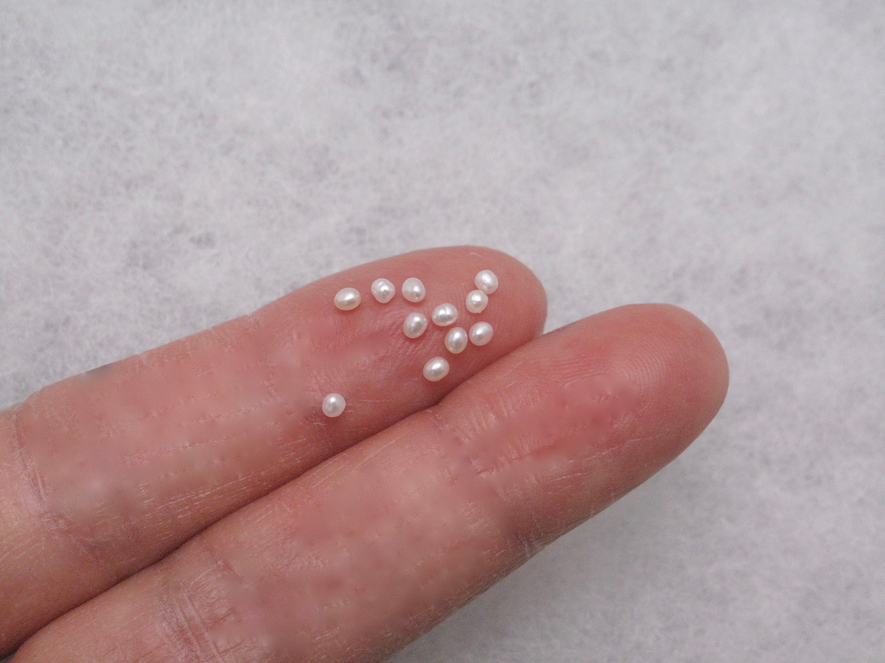 Rare 1.5 X 2mm AAA UNDRILLED Slightly Oval Small Loose Seed