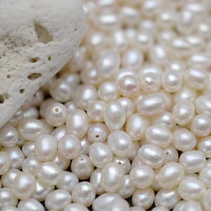 5 Pcs 5.5-6 x 7-8mm Oval Rice Natural White AAA Freshwater Pearls NOT Paired,Half Drilled White Loose Pearls,Genuine Cultured Pearl(1122-FP)