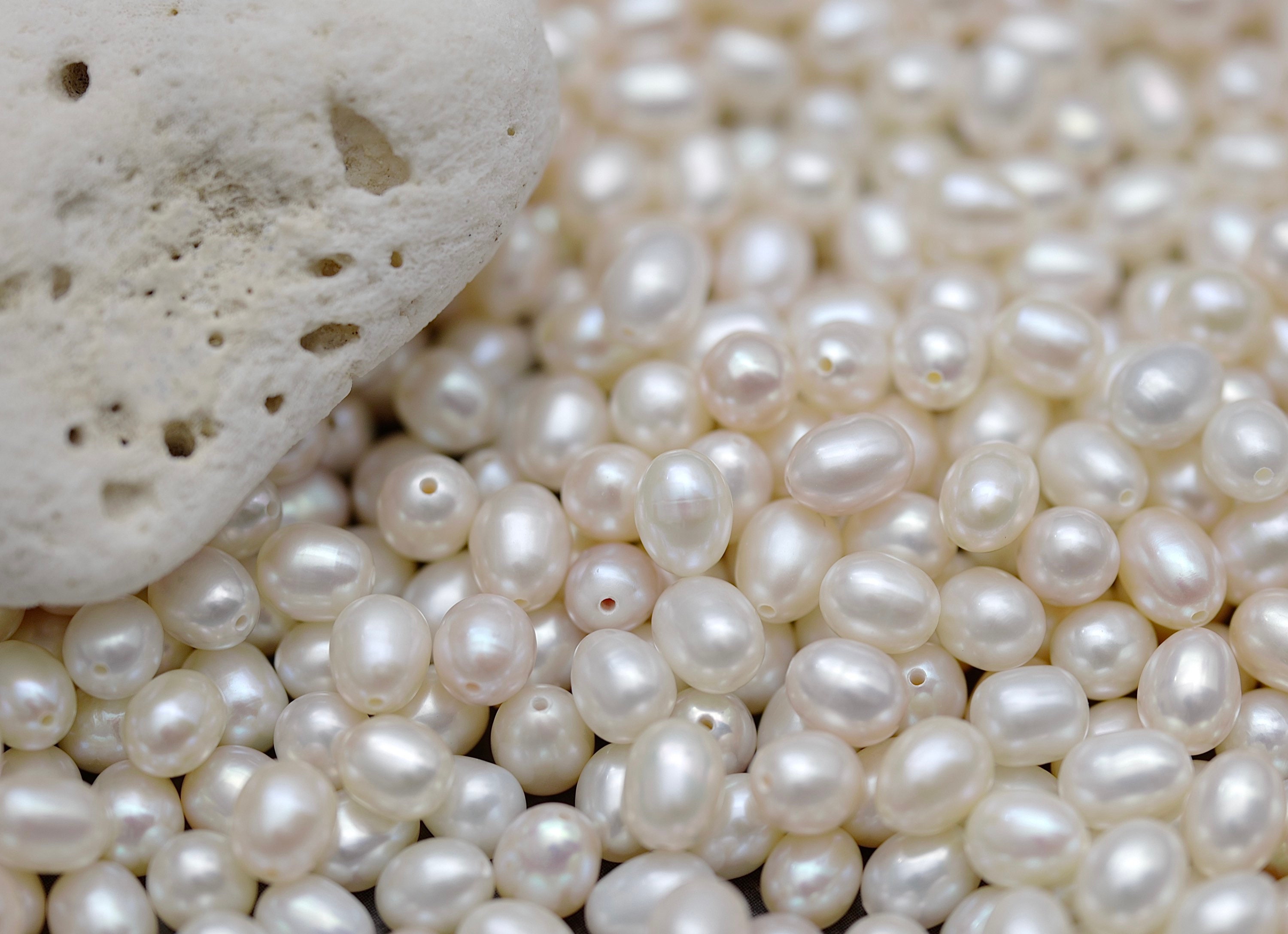 White Freshwater Pearl Rice Oval Beads 7-7.5mm #66178