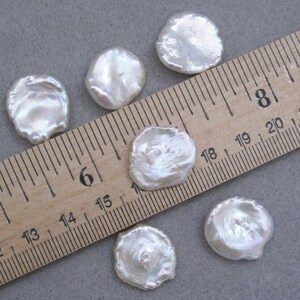 May include: Six white, irregularly shaped, iridescent mother of pearl shell buttons, measuring approximately 1.5 inches in diameter, are arranged on a wooden ruler.