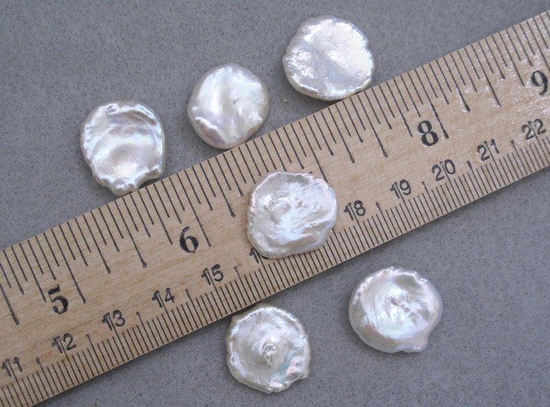 May include: Six white, irregularly shaped, iridescent mother of pearl shell buttons, measuring approximately 1.5 inches in diameter, are arranged on a wooden ruler.