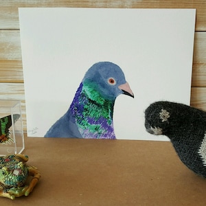 Pigeon Art, Pigeon Watercolor Print, Rock Dove Urban Bird Artwork, 8.5 X 11 Painting, Bird Lover Present, Fine Art Paper Watercolour Print