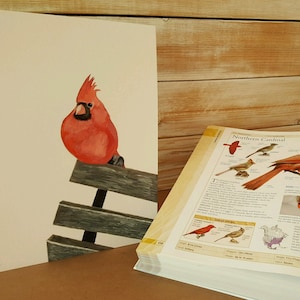 Cardinal Art, Red Bird Watercolor, Fine Art Print, Bird Wall Art, Wild Bird Painting, Nature and Animal Lover Gift
