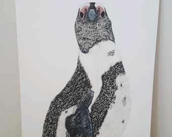 Penguin Print, South African Penguin, Watercolor Fine Art Print, Original Painting, Bird Lover Gift, Wall Hanging, Bird Artwork