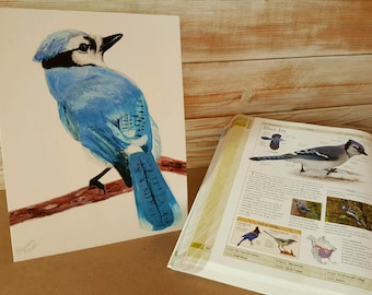 Blue Jay Art, Bird Watercolor Fine Art Print, Blue Bird Illustration, Wild Bird Painting, Nature and Bird Lover Gift