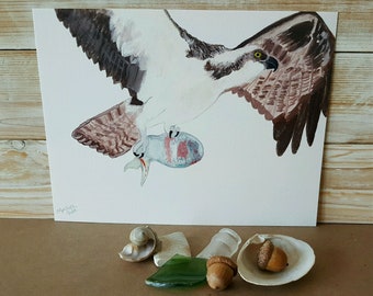Western Osprey volando con pescado acuarela pintura impresión, impresión de arte de arte fino, pescado comer pájaro halcón de presa de arte, amante de la observación de aves