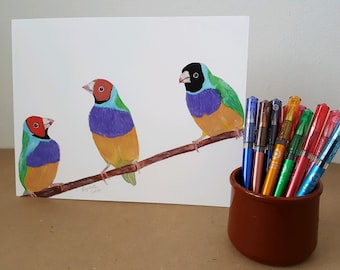 Finch Art Print, Gouldian Finches, Watercolor Fine Art, Australian Bird Artwork, Colorful Art, Animal and Bird Lover Gift, Australian Native