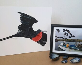 Frigate Bird Print, Galapagos Islands, Watercolor Fine Art Print, Original Painting, Bird Lover Gift, Wall Hanging, Flying Bird Art