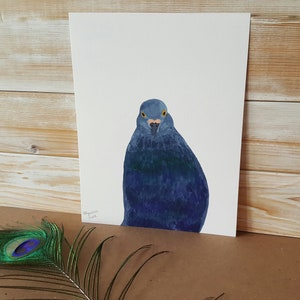 Pigeon Art, Pigeon Watercolor Print, Rock Dove Urban Bird Artwork, 8.5 X 11 Painting, Bird Lover Present, Fine Art Paper Watercolour Print