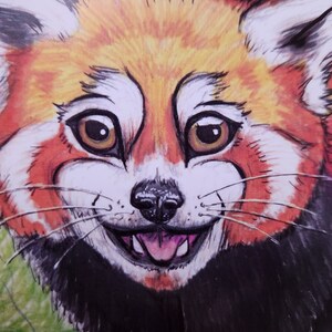 Red Panda 4-Pack Cartes de vœux avec enveloppes