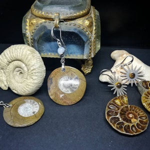 Fossil earrings ammonite round snail tiger eye agate original witch stones stone