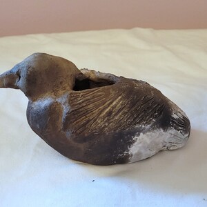 May include: A handcrafted ceramic bird-shaped planter. The bird is mainly brown with white accents and a textured surface. The planter has an opening on top for plants or other decorative items.