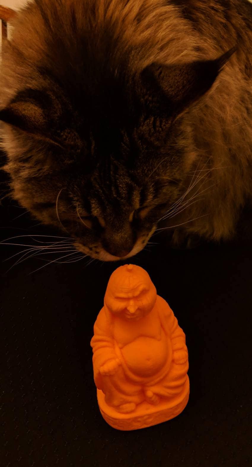 Grumpy Pumpkin Buddha, Halloween Pumpkin Buddha, Halloween Decorations ...