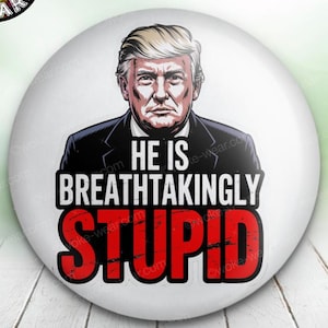 Trump Is Breathtakingly Stupid Button Pin, TACO, Trump Regime, POTUS, Anti MAGA, 50501 Protests, No Kings March, Activist Pin, Democracy