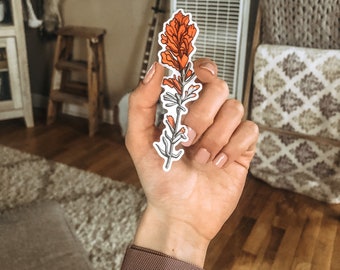 5-pack Indian Paintbrush Stickers