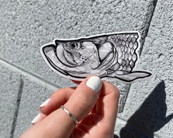 Tarpon Sticker