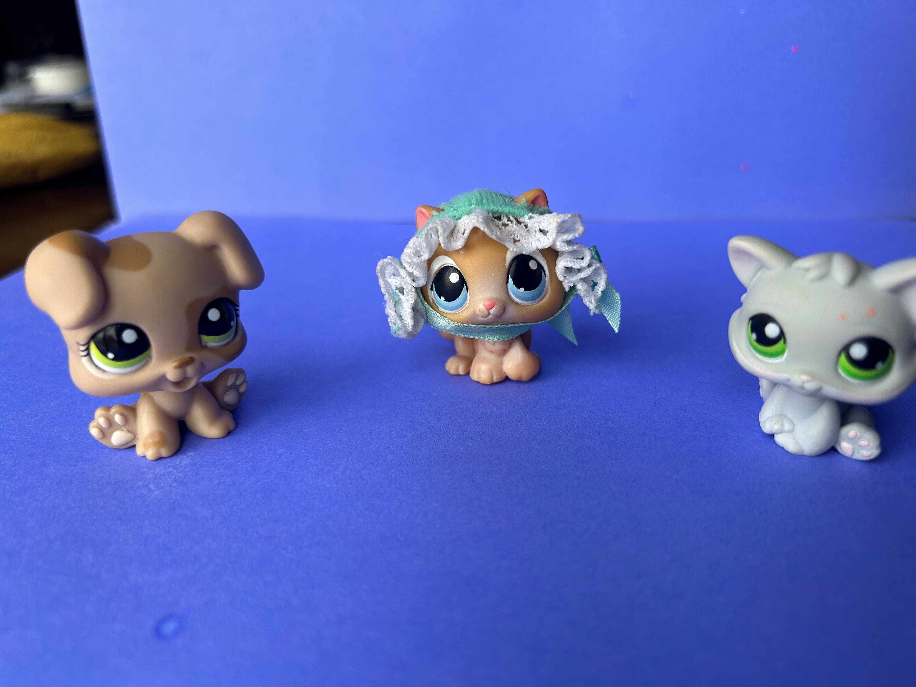 Lps kittens cheap for sale