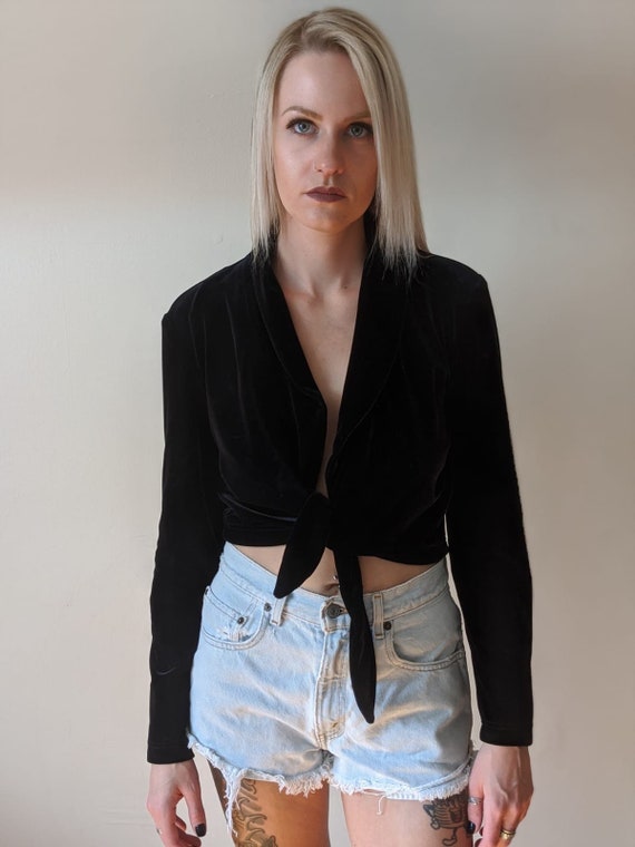 Vintage Velvet Cropped Tie Front Blouse