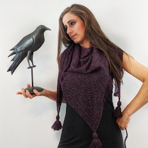 May include: A woman wearing a dark purple shawl with tassels, holding a black metal crow sculpture.