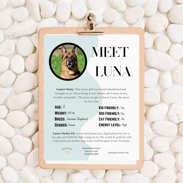 Animal Shelter Kennel Card | Adoptable Pet Introduction Card | Kennel Card Template | Reusable Printable Kennel Card Template
