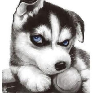 May include: A black and white illustration of a Siberian Husky puppy with bright blue eyes. The puppy is shown from the chest up, resting its chin on a round, textured ball. The fur is rendered with detailed shading, highlighting the contrast.