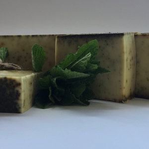 May include: Four bars of green and brown soap with a sprig of fresh green mint leaves in front of them.