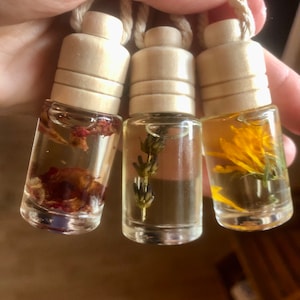 May include: Three small glass bottles with wooden stoppers and twine hangers. Each bottle contains dried flowers and a clear liquid. The flowers are red, purple, and yellow.