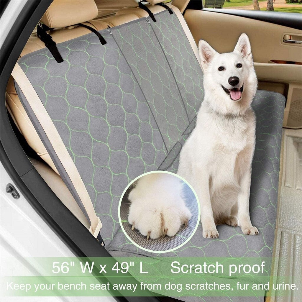how-to-get-dog-urine-out-of-car-seat