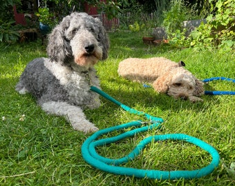 Handgefilzte Hundeleine für mittelgrosse Hunde, 100 kg Zugkraft, Seegrün