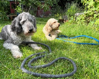 Handgefilzte Hundeleine für mittelgrosse Hunde, 100 kg Zugkraft, Naturgrau