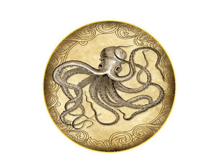 SET OF 2 Steampunk Nautical Vintage Gold Kraken Octopus GLASS Cabinet Drawer bifold Bi Fold Closet Door Knob Squid Pull Handle Wow