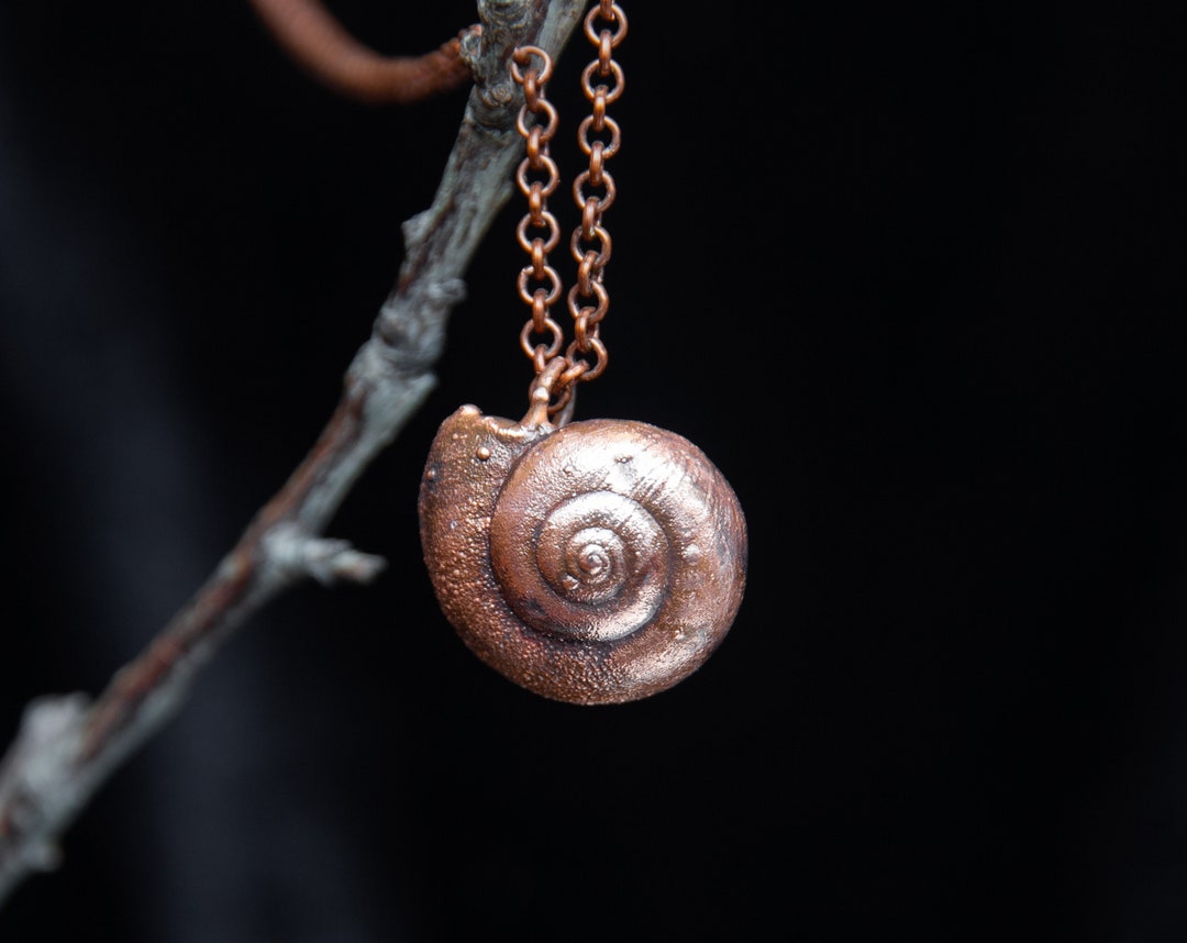 Real Snail Shell Necklace Goblincore Jewelry Copper Electroformed