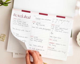 A4 Weekly Schedule Planner Pad, To Do List Notepad for Office Desk