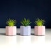 Hollie reviewed Set of Three Mini Desk Plants, Octagonal Pastel Plant Pots, Artificial Succulent & Air Plants, Blush Pink Planter Set