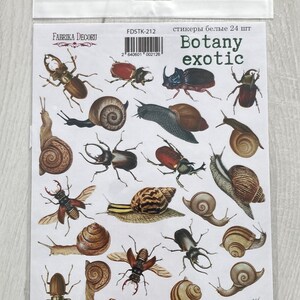 Fabrika Decoru Botany Exotische Insekten Aufkleber, Insekten Aufkleber, Schnecken Aufkleber, Scrapbook Verzierungen, Planer Dekoration, Penpal Aufkleber