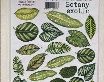 Fabrika Decoru Botany Exotic scrapbook stickers, Palm leaves sticker sheet, Tropical stickers, Botanical planner stickers, Penpal stickers
