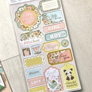 Scrapmir Boy o Girl abbellimento truciolato, Animali bosco cartoncino morire tagli, Baby scrapbook pacchetto effimero, Scrapbooking forniture