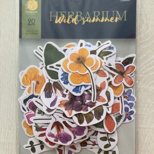 Découpes en papier cartonné Scrapmir Herbarium Wild summer, pack d'éphémères botaniques, embellissements en papier de scrapbooking, kit de journal indésirable