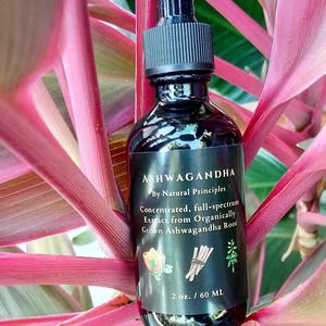 Organic Ashwagandha Concentrated Tincture 2 oz: Pure, Potent, & Balanced Extract. image 2