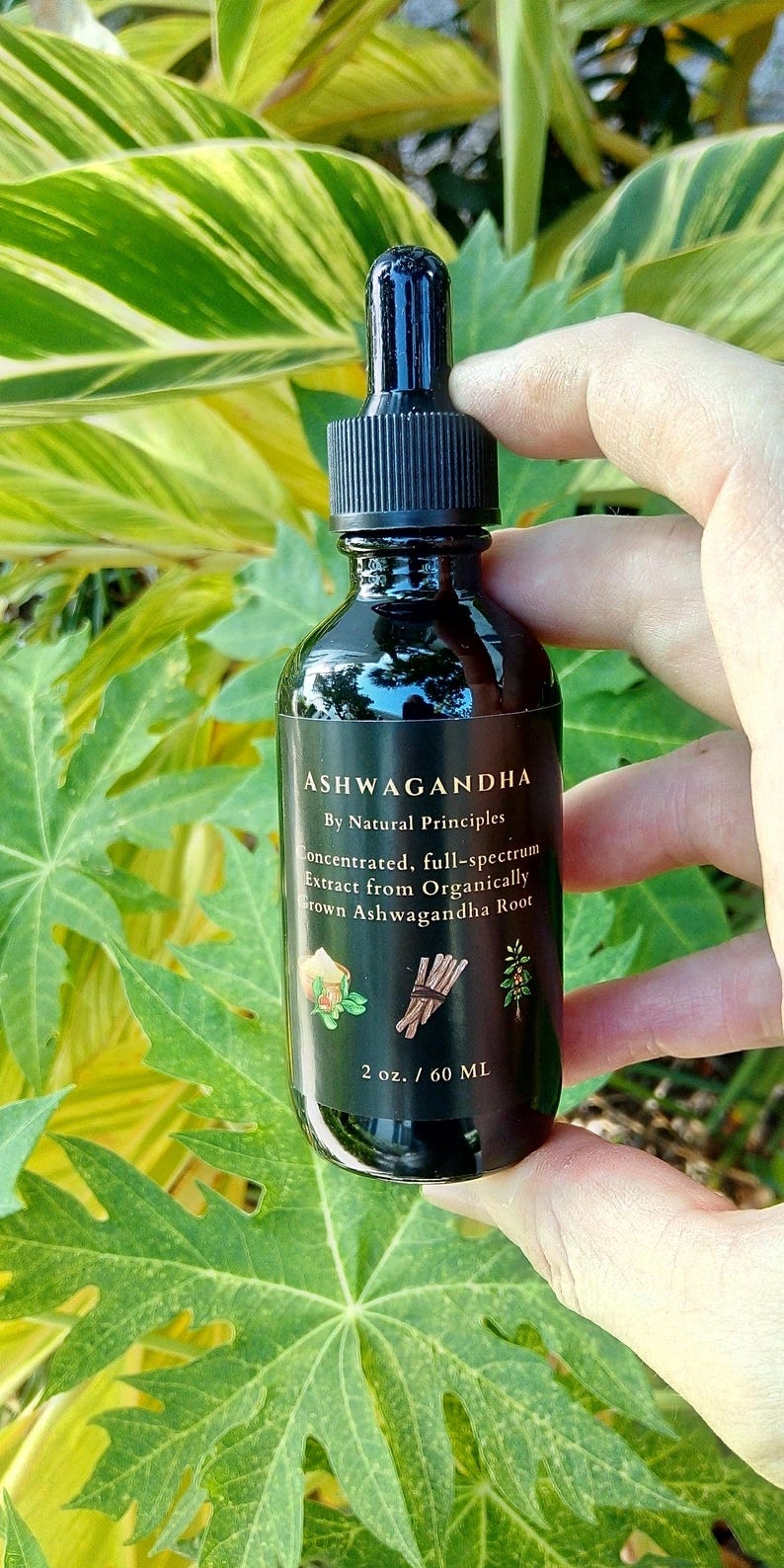 Organic Ashwagandha Concentrated Tincture 2 oz: Pure, Potent, & Balanced Extract. image 3