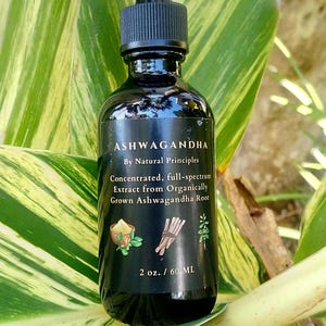 Organic Ashwagandha Concentrated Tincture 2 oz: Pure, Potent, & Balanced Extract. image 4